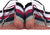 Brasier economico de encaje  copa B y C (24pcs)