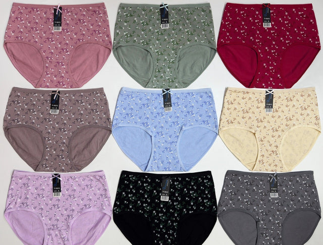 Pantaleta de Algodon Completa (48pcs)