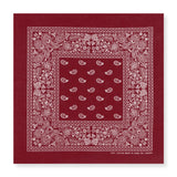 Diseño Rojo Quemado